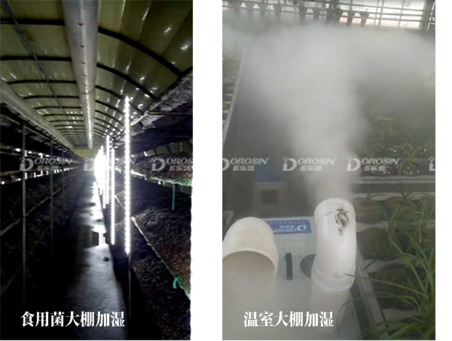 圖片 2.png